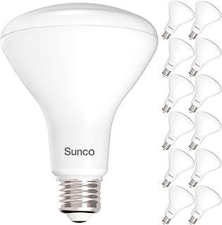 12 Pack BR30 Light Bulbs LED, Recessed Can Light Bulbs, Indoor Flood Bulb, 850 LM, 11W (65W Equivalent), 5000K Daylight LED Bulb, Dimmable, E26 Base, for Home, Kitchen, Bedroom UL