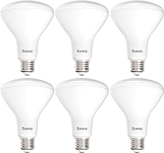 6 Pack BR30 Light Bulb LED Recessed Can Light Bulbs, Indoor Flood Light Bulb 850 LM, 11W (65W Equivalent), 3000K Warm White, Dimmable, E26 Base, for Home, Kitchen, Bedroom UL