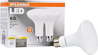 LED Flood BR30 Light Bulb, 65W Equivalent Efficient 9W, 10 Year, 650 Lumens, Dimmable, 2700K, Soft White - 2 Pack (73954)