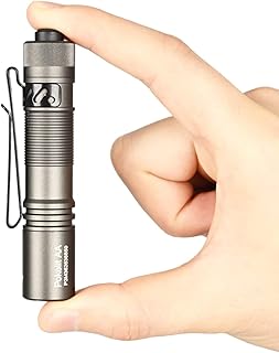 Pokelit AA Rechargeable Mini Flashlight with Clip, 1000 High Lumens Pocket EDC Flashlight, Super Bright Small Flashlight, Led Flashlight for Camping,Hiking,Everyday Use, Cool White Light(Gray)